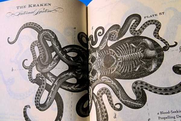 Kra34.cc