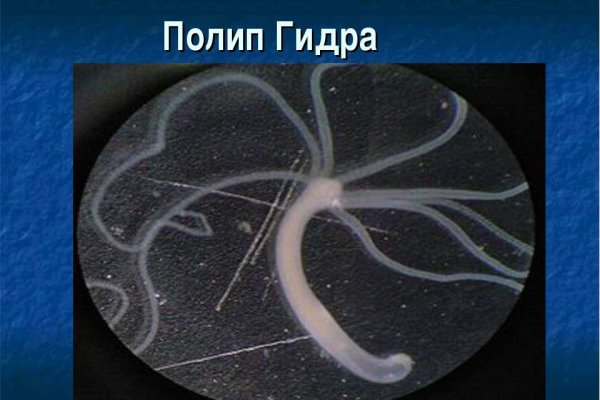 Kraken даркнет что это